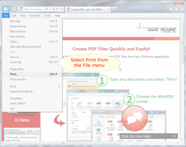 Internet Explorer screen for printing to Win2PDF
