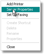 Server Properties selection